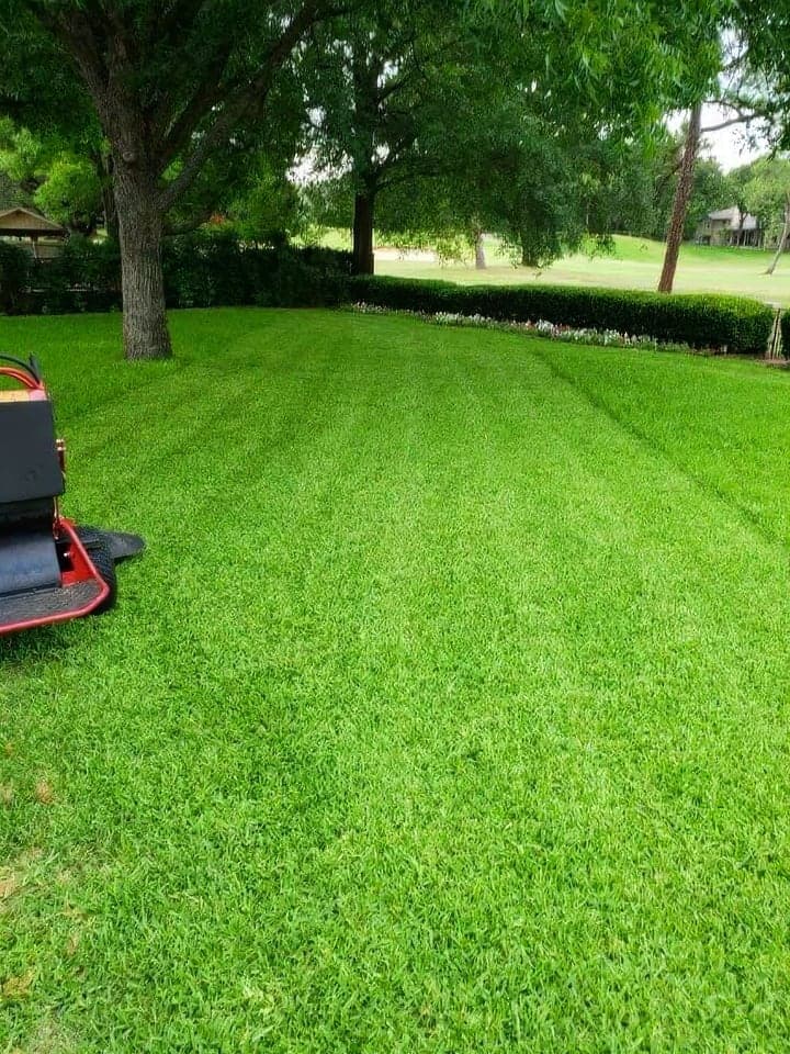 A freshly mowed lawn with crisp striping patterns, bordered by trimmed hedges and mature trees, with mowing equipment visible in the foreground