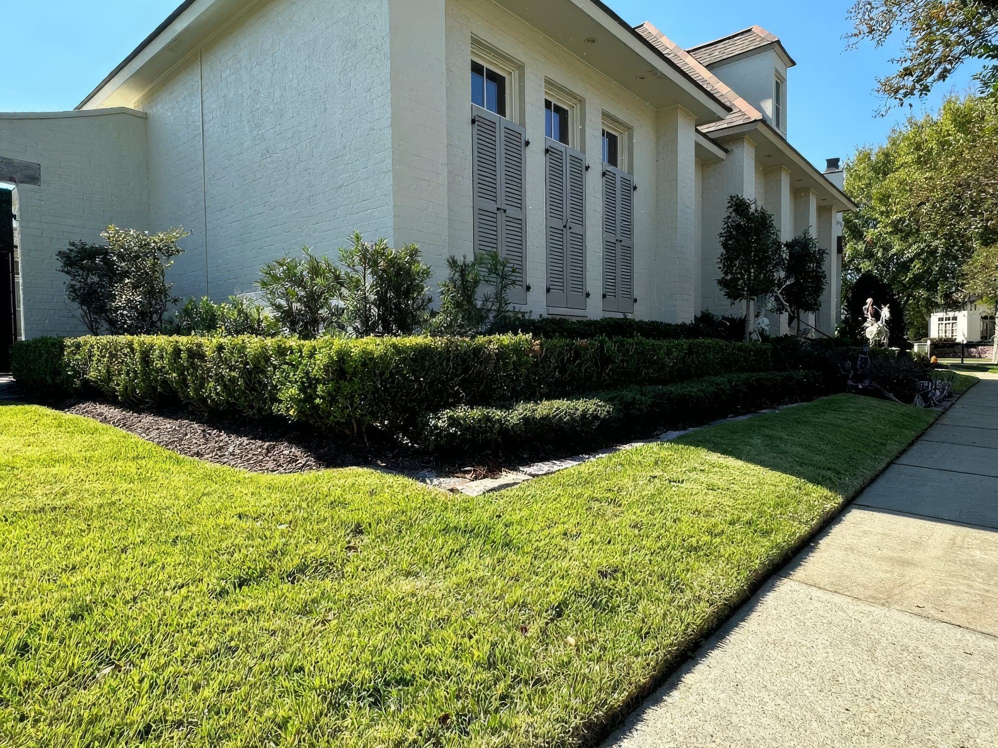 A freshly mowed lawn with crisp edging beside a trimmed boxwood hedge and dark mulch bed