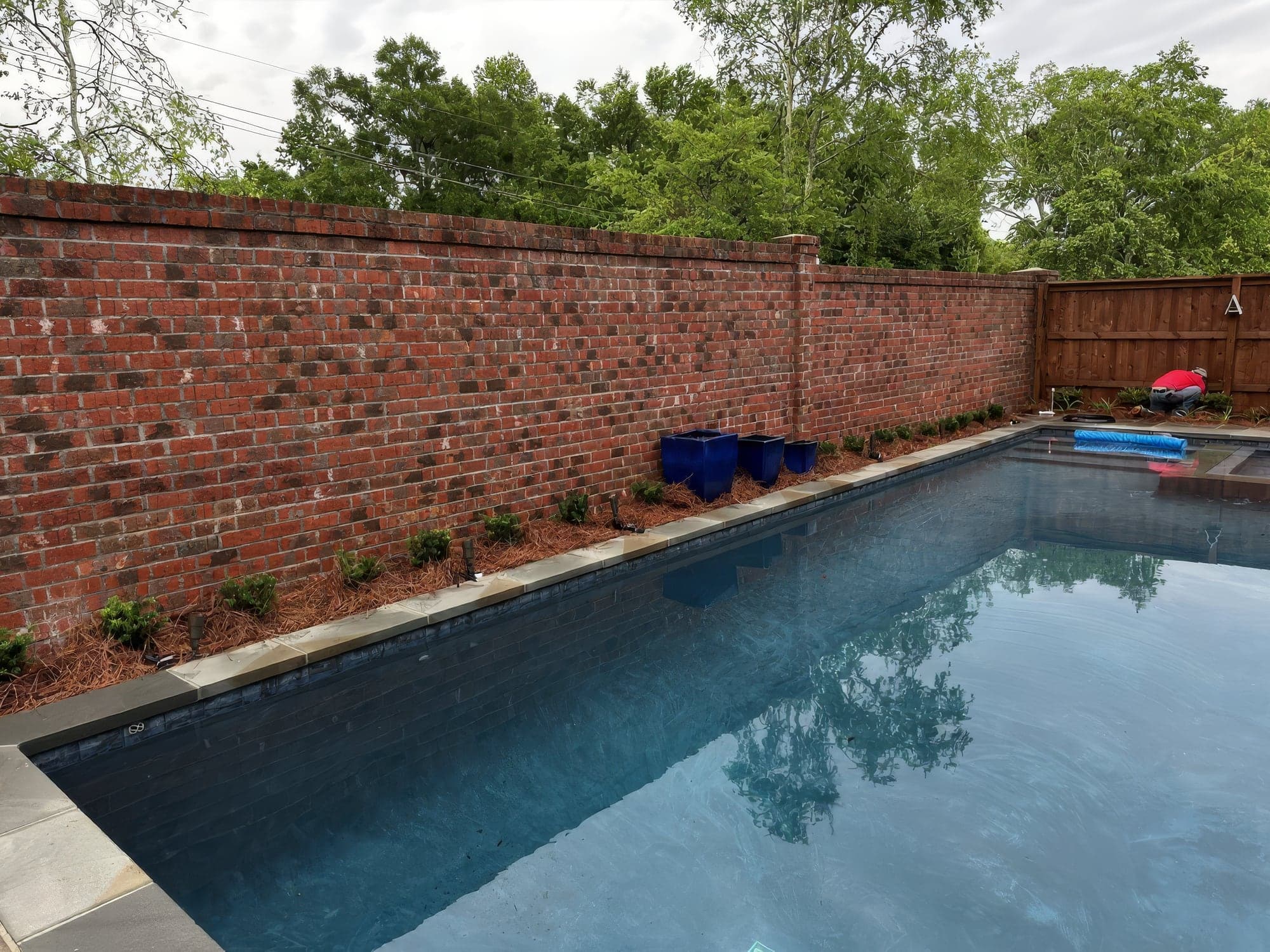 A backyard pool bordered by a brick wall with new plantings along the base